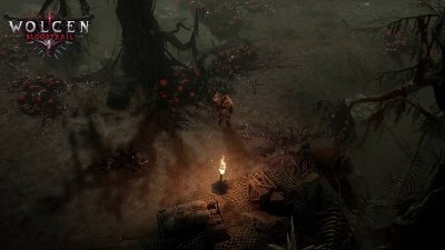 Wolcen Lords of Mayhem